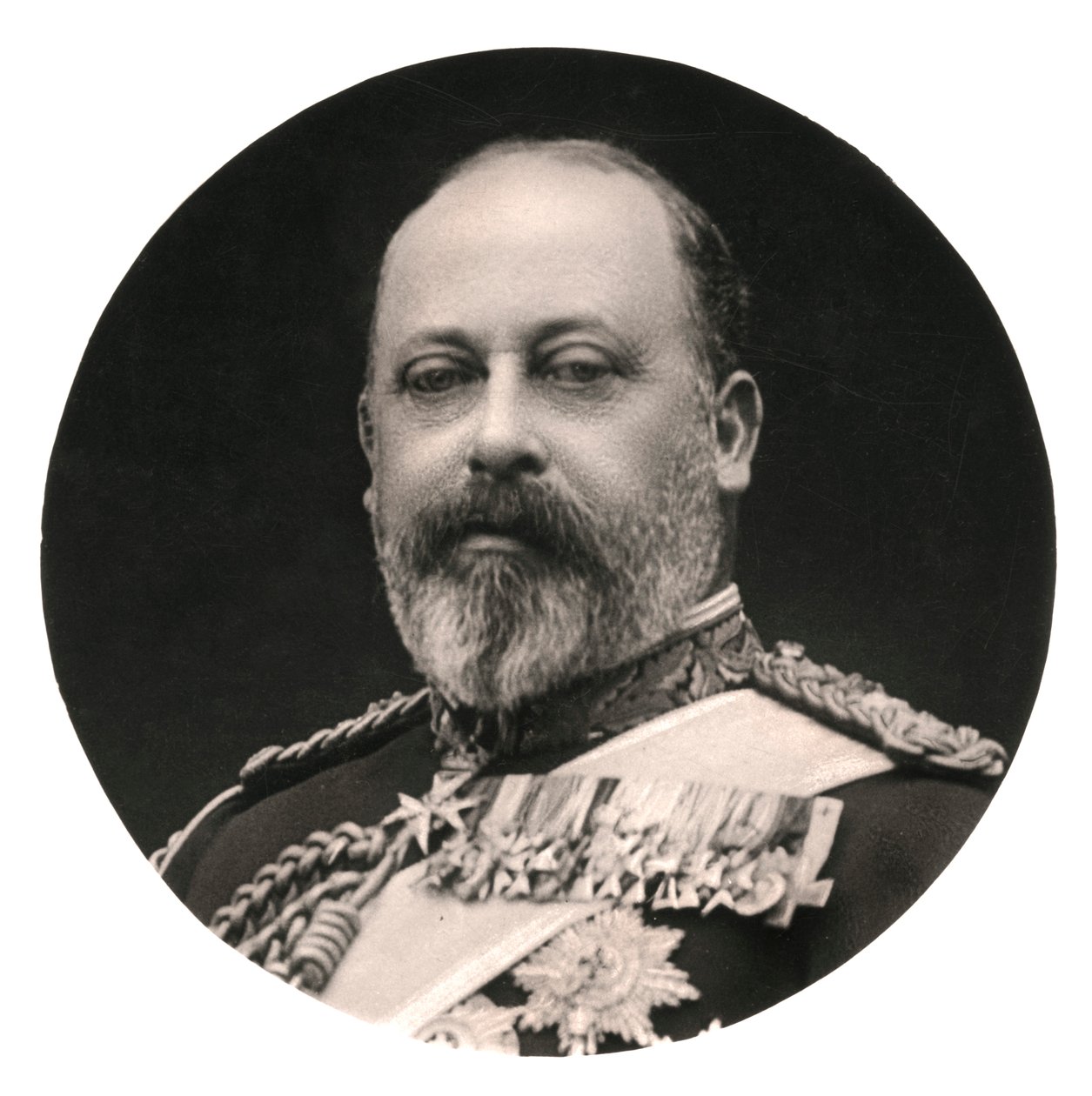 Kral Edward VII, 20. yüzyıl. by Rotary Photo