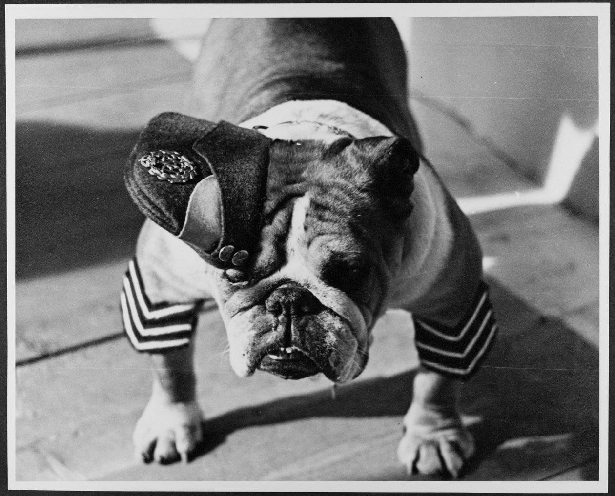 RAF üniformalı bir Bulldog, Pinewood Stüdyoları by Royal Air Force Film Production Unit