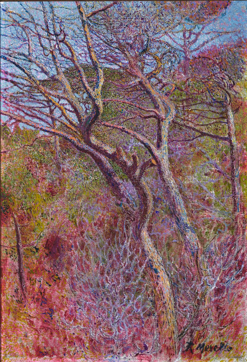Manzara, Stüdyo, c.1907 by Rubaldo Merello