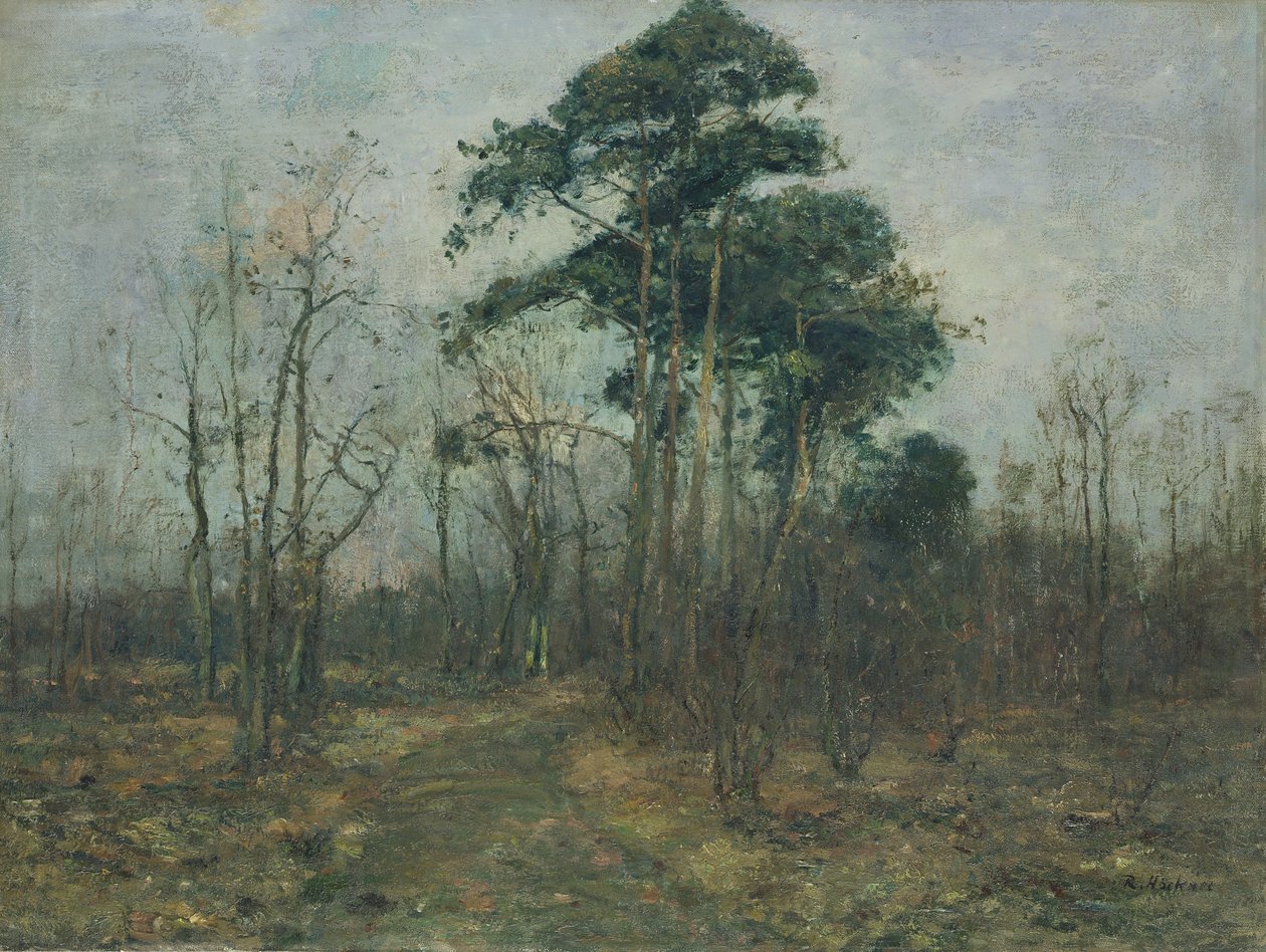 Park Manzarası: İlkbaharda Orman by Rudolf Hockner