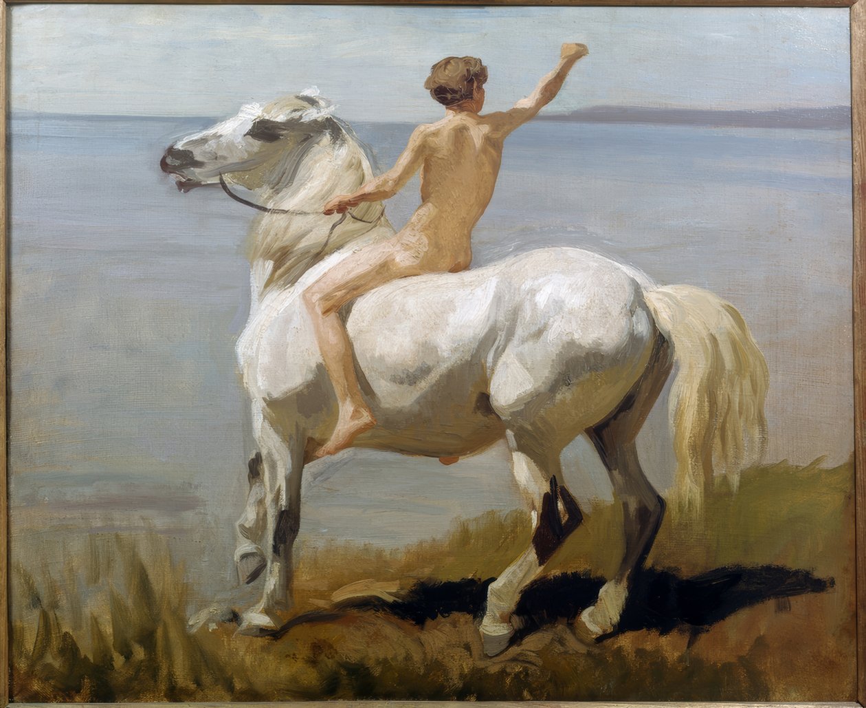  by Rudolf Koller
