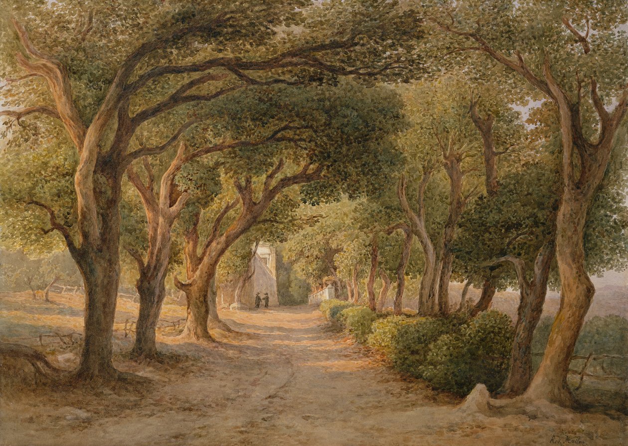 Castel Gandolfo (kağıt üzerine sulu boya) by Rudolf Müller
