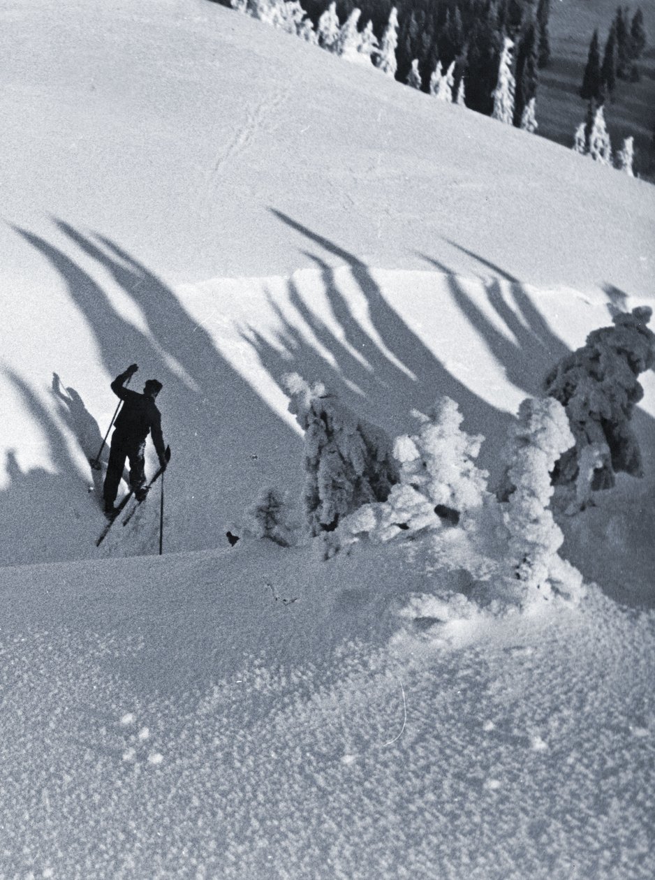 The Skier, 1928 (cyanotype) by Rudolph Koppitz