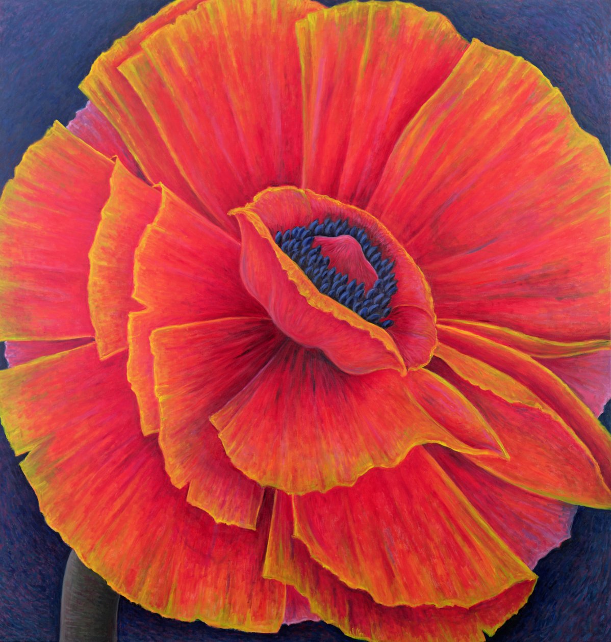 Büyük Gelincik, 2003 by Ruth Addinall