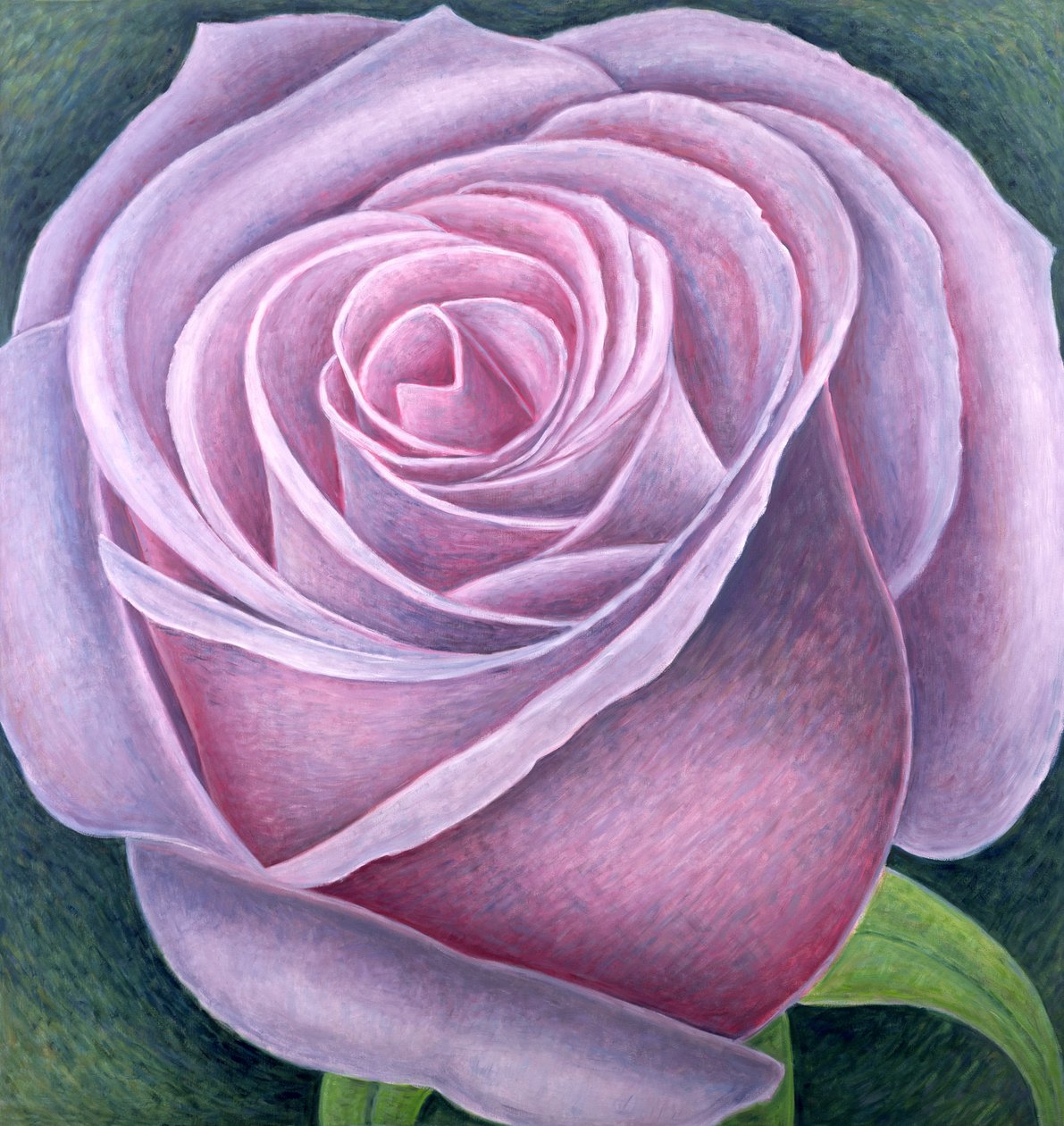 Büyük Gül, 2003 by Ruth Addinall
