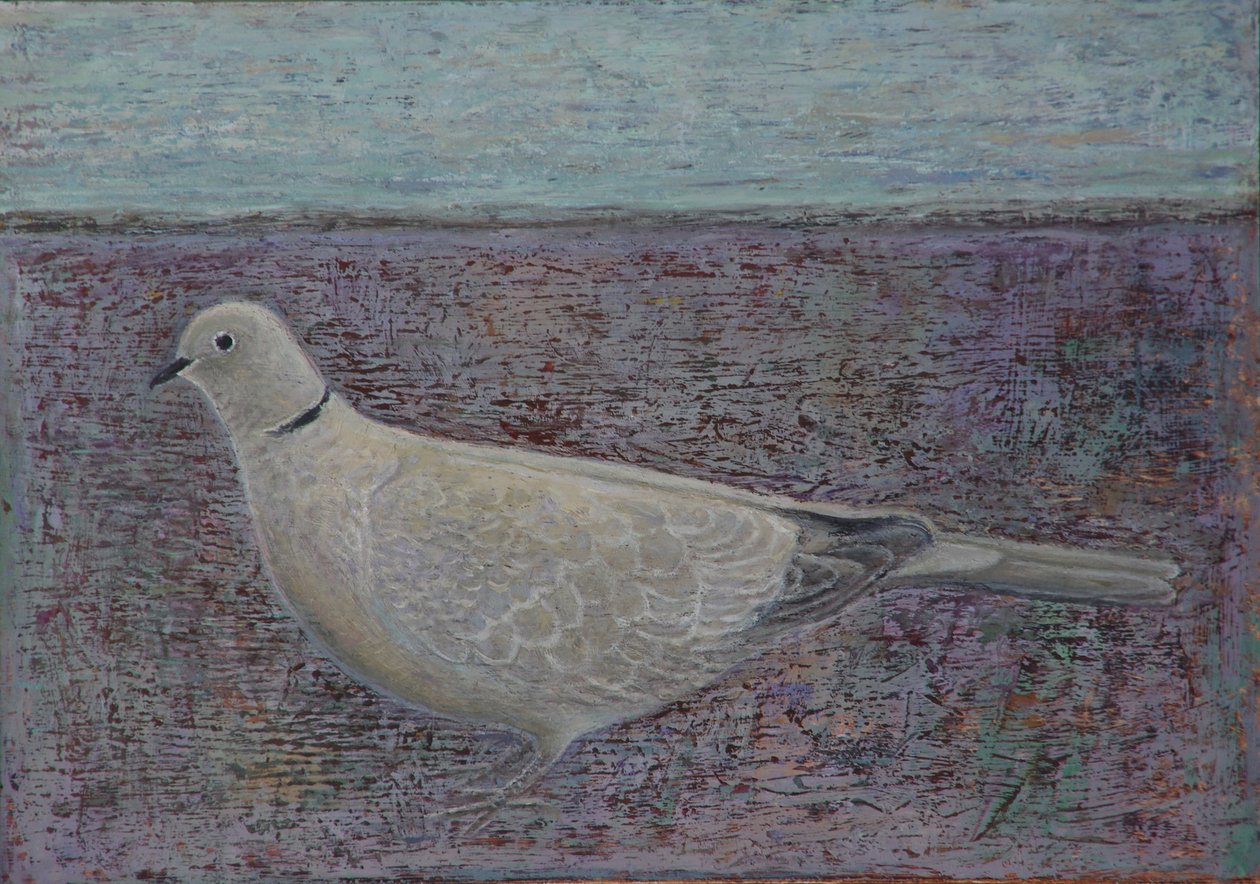 Ben Yakalı Güvercinim by Ruth Addinall