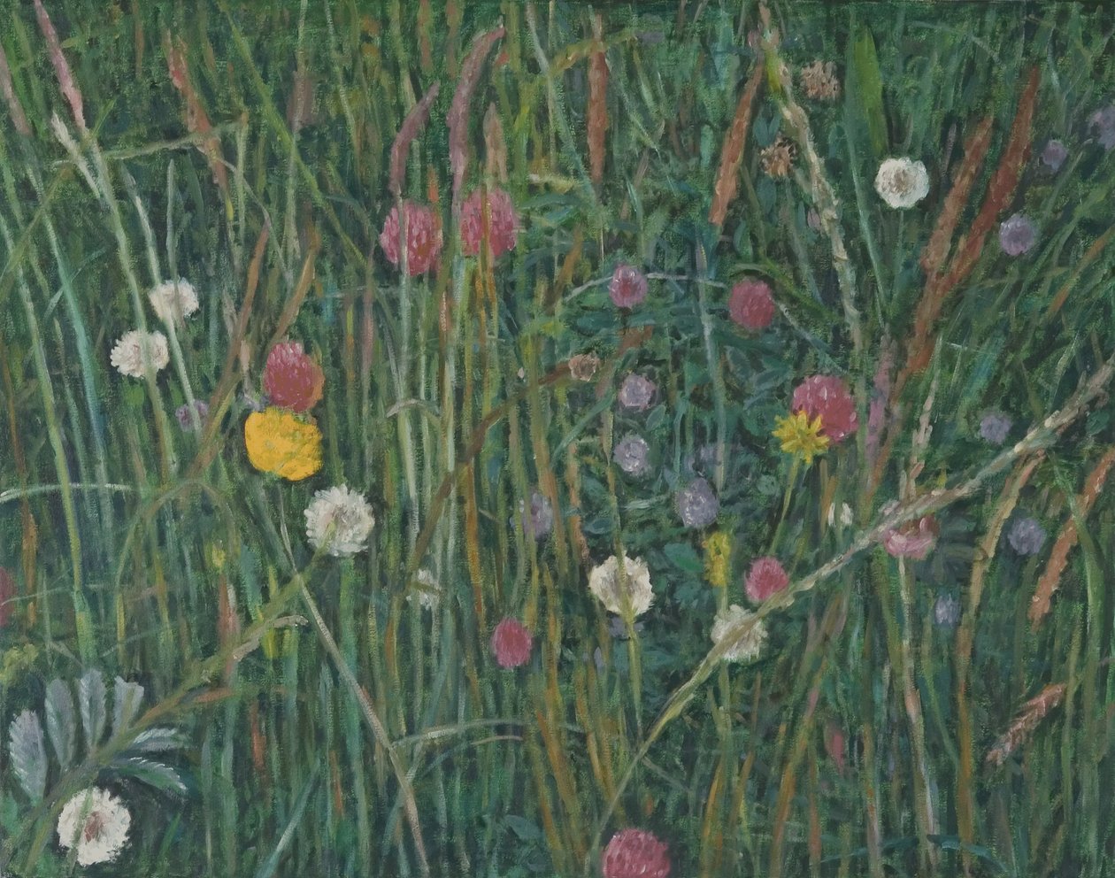 Machair Bitkileri, 2008 by Ruth Addinall