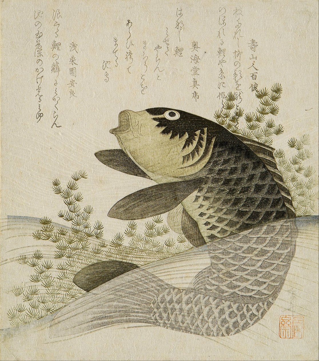 Havuz bitkileri arasında sazan by Ryuryukyo Shinsai