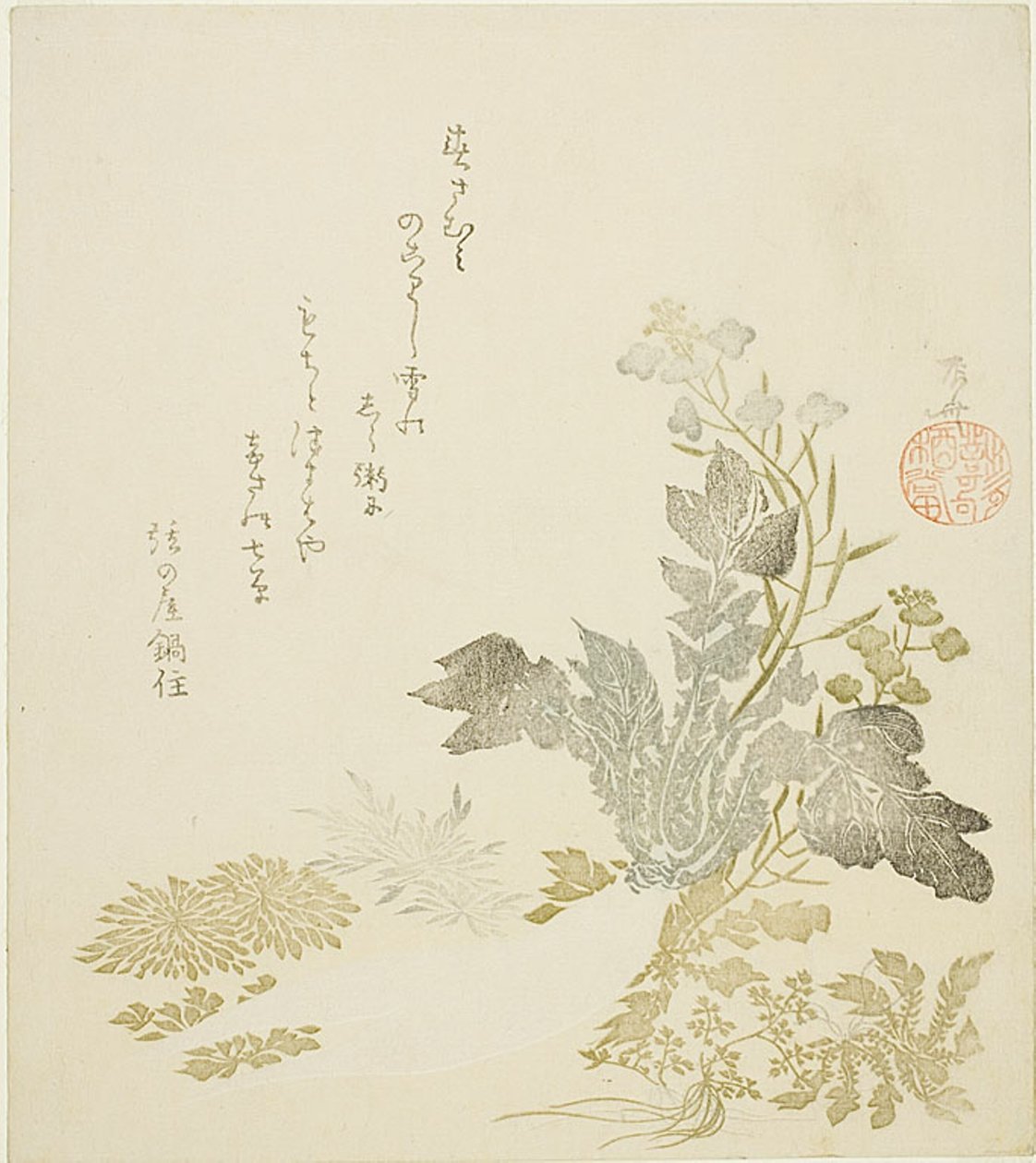 Dev Turp (daikon), Krizantemler ve Eğreltiotları by Ryuryukyo Shinsai