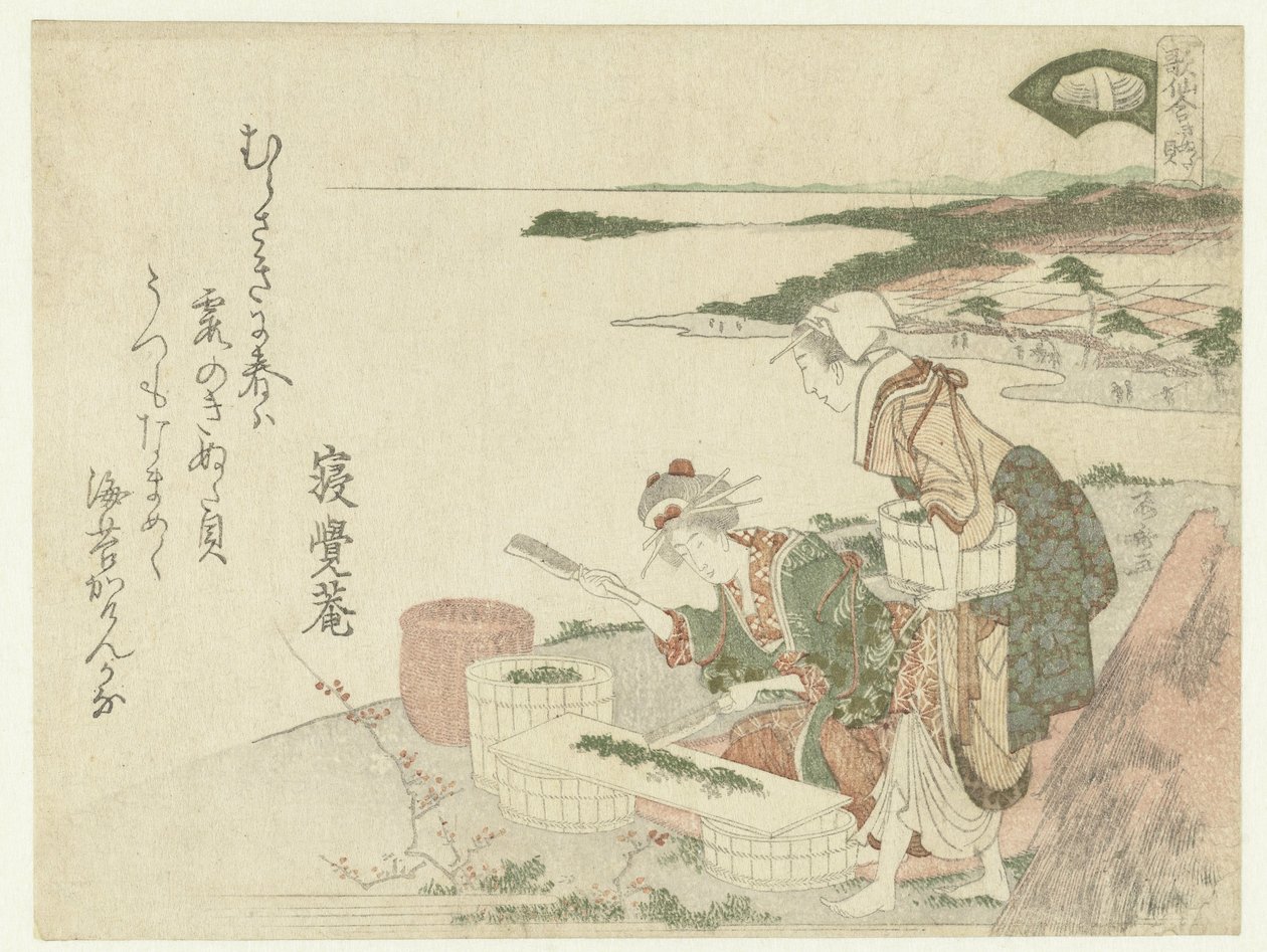 Dolum blok kabuğu by Ryuryukyo Shinsai