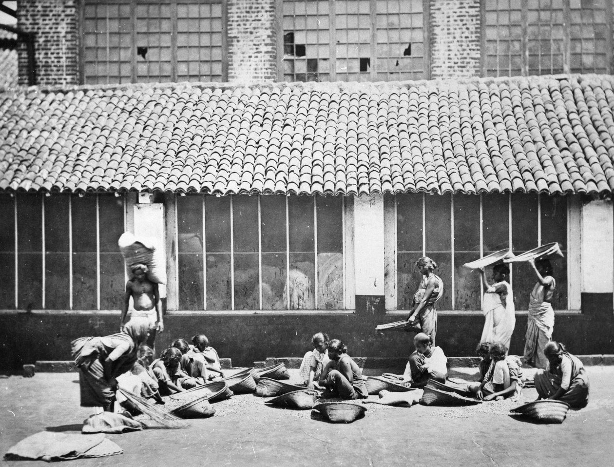 Kahveyi Temizleme ve Ayıklama, Kolombo, 1870 by S. and Shepherd, C. Bourne