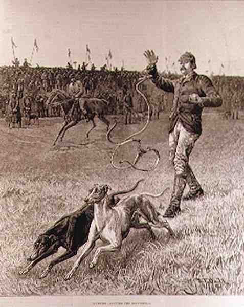 Kurs: 'The Illustrated London News'den Tazıları Kaydırmak by S. T. Dadd
