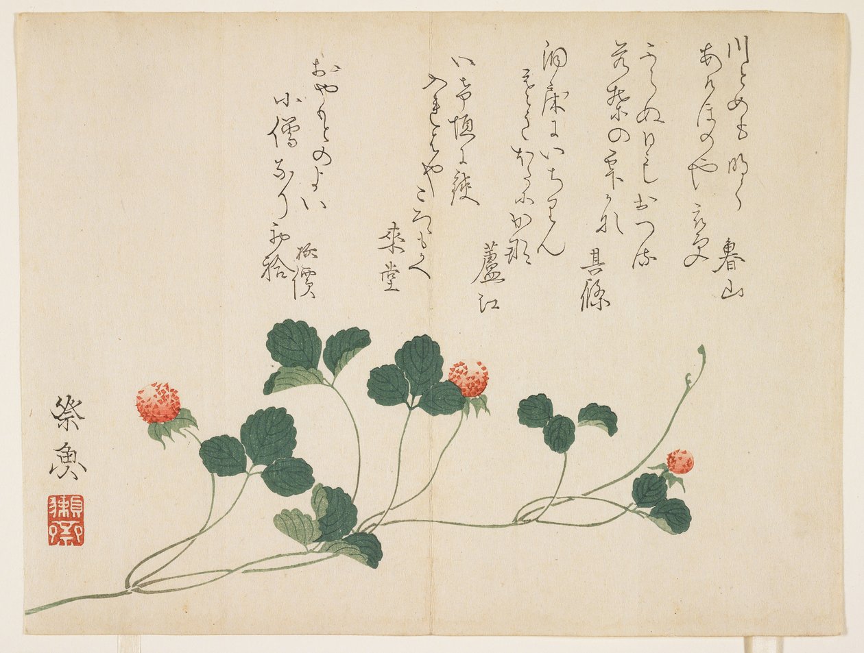 Ahududu (renkli tahta baskı) by Saigyo