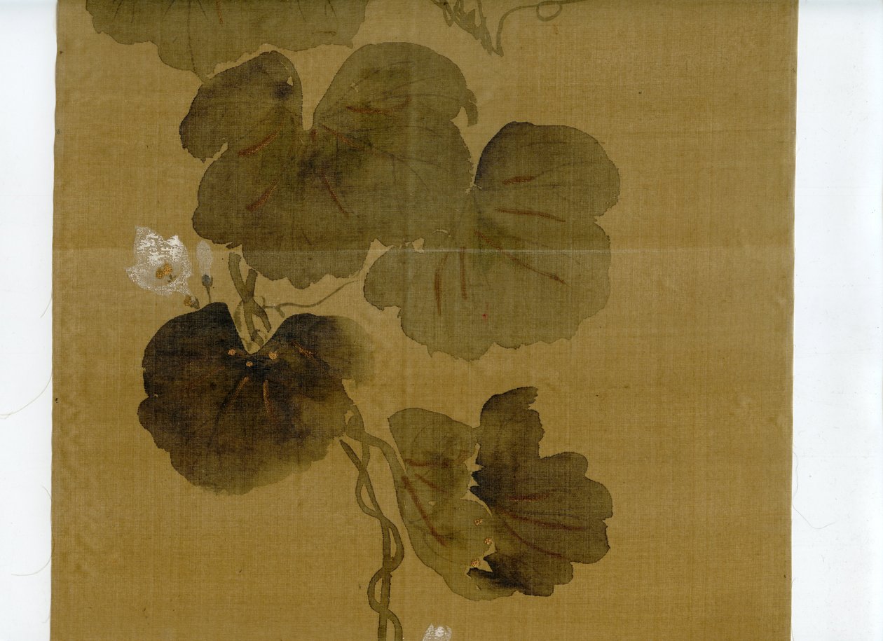 wittig.collection.painting.02.flowering.gourd.vine.rinpa.school.signature.&.seal.of.sakai.hoitsu.scanset.04.of.07 by Sakai Hoitsu