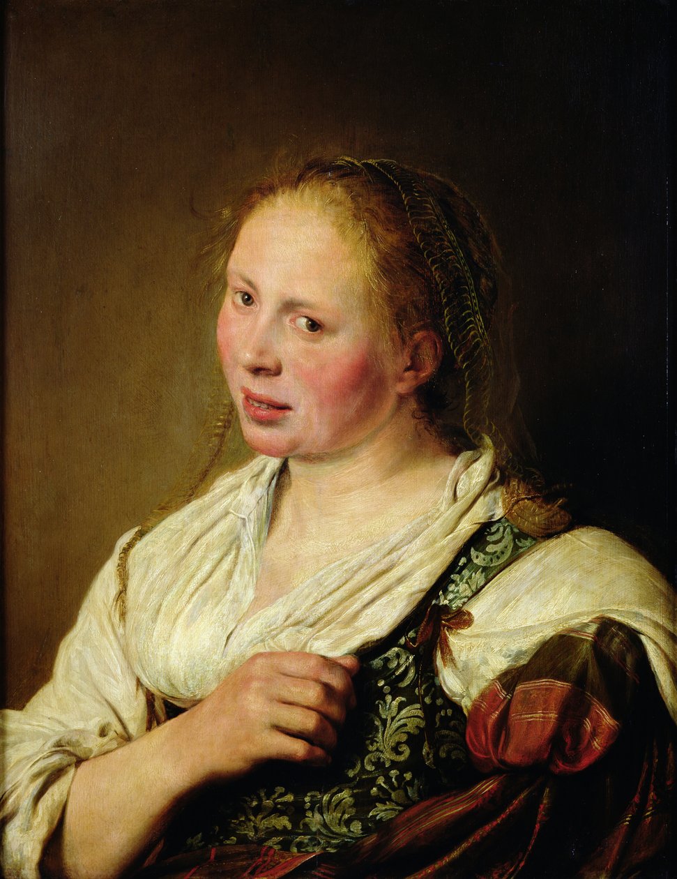 Genç köylünün tablosu by Salomon de Bray