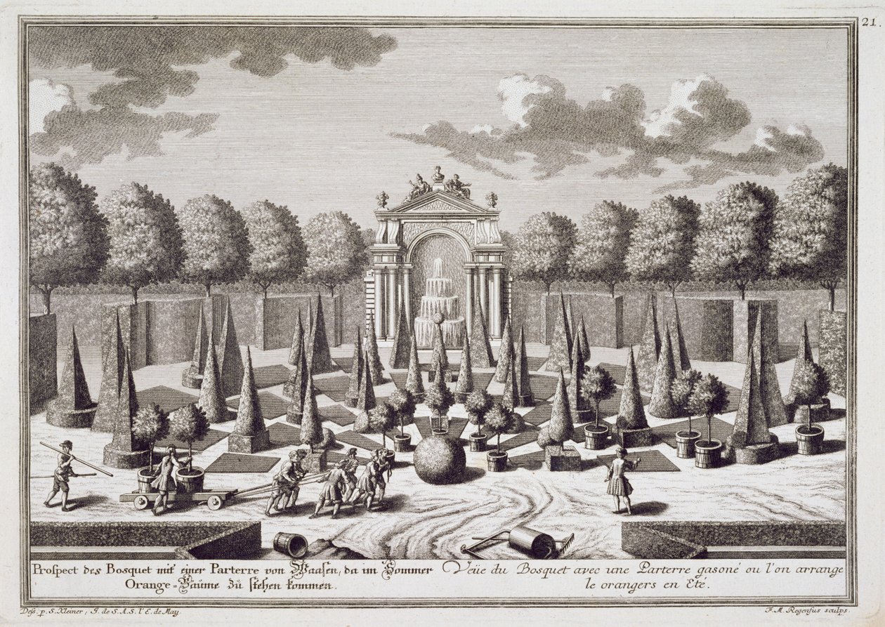 Franz Michael Regenfus (c.1712-80) tarafından oyulmuş Lichtenstein Sarayı, Viyana, bahçesinde portakal ağaçları ile bir parter, c.1724-37 yayınlandı by Salomon Kleiner