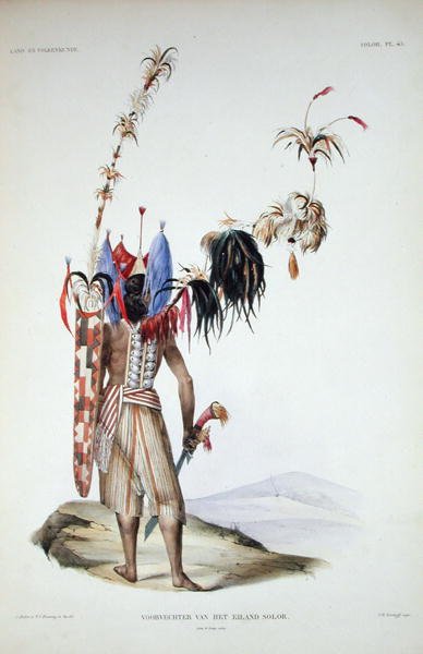 Solor Adası Savaşçısı, Coenraad Jacob Temminck