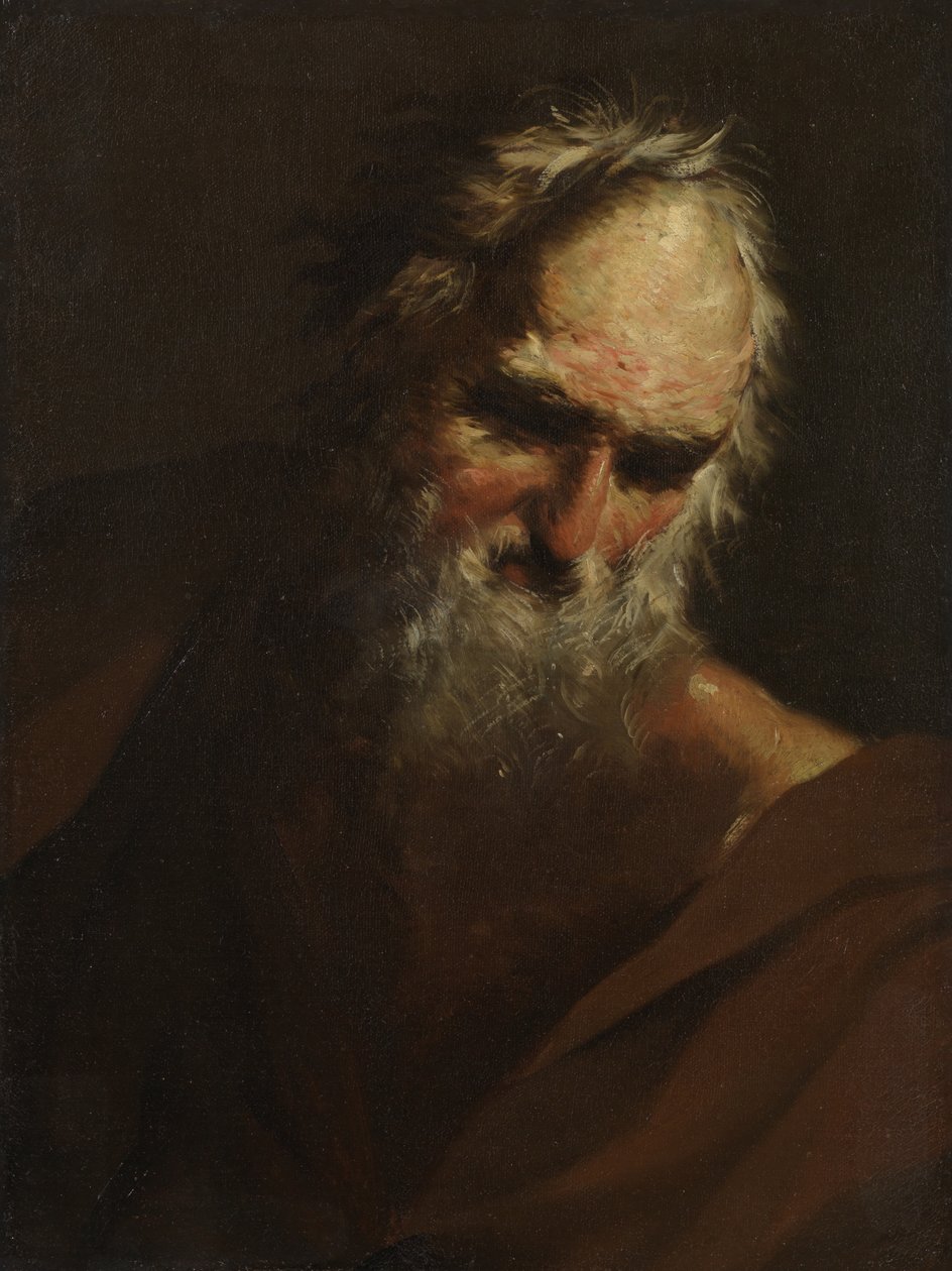 Sakallı Bir Adamın Başı, c.1640-80 by Salvator Rosa