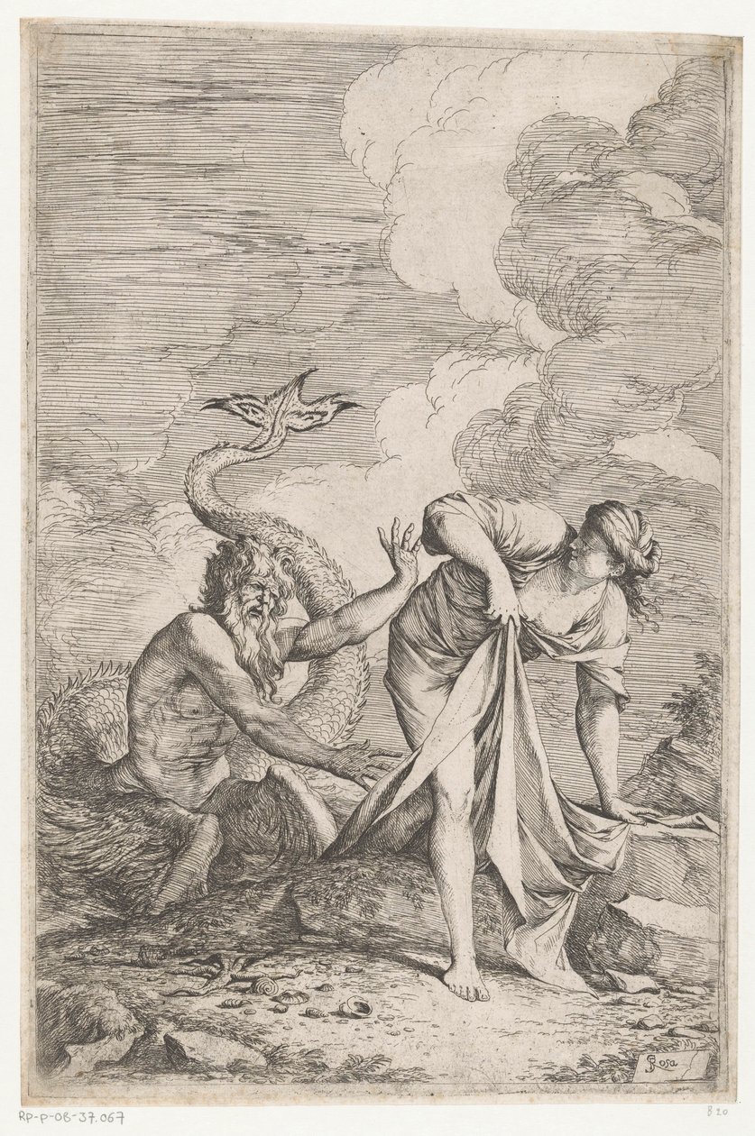 Scylla Glaucus