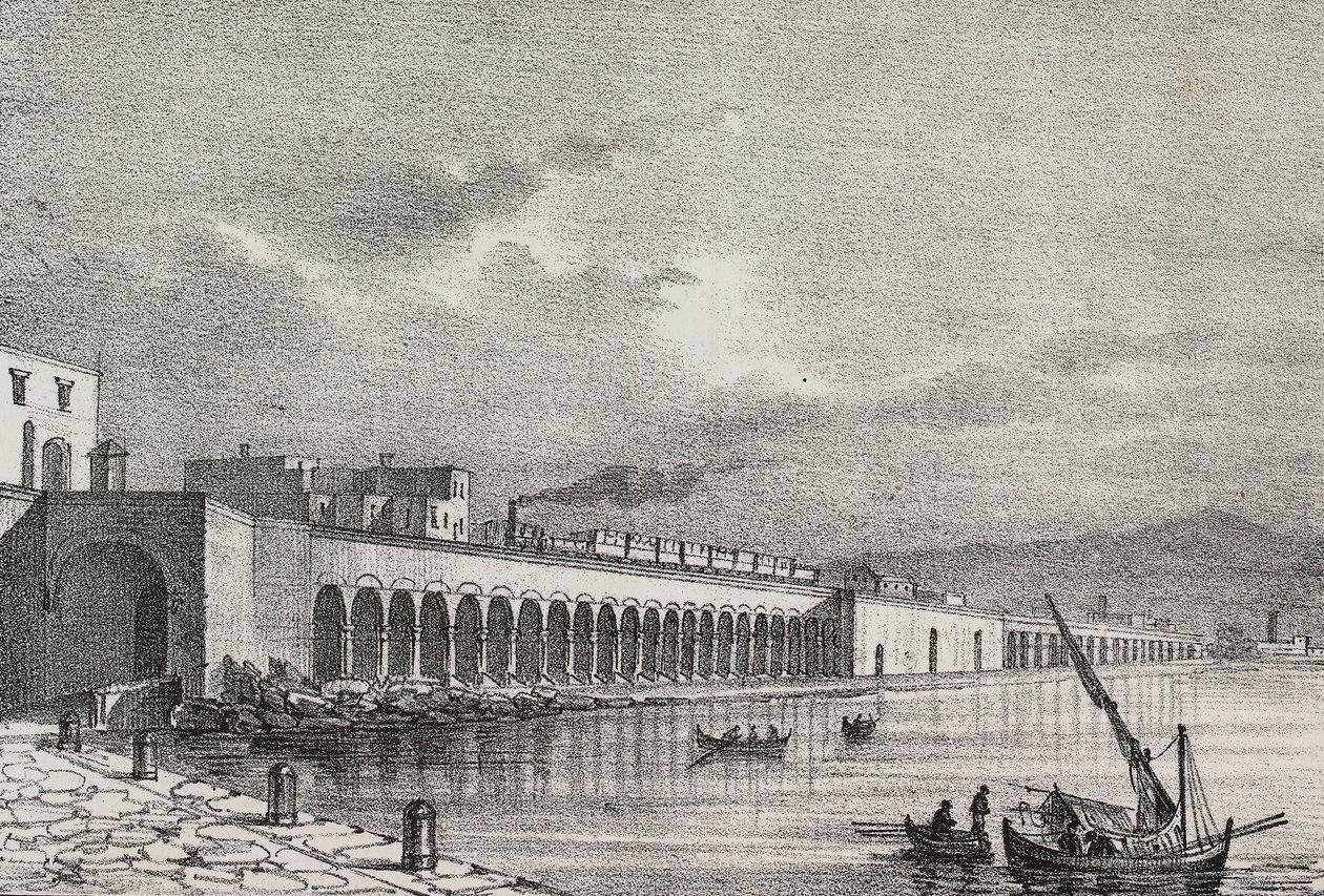 Torre Annunziata, Campania, İtalya'daki demiryolu görünümü, Poliorama Pittoresco'dan Gaetano Riccio tarafından litografi, n 21, Aralık 31 by Salvatore Puglia