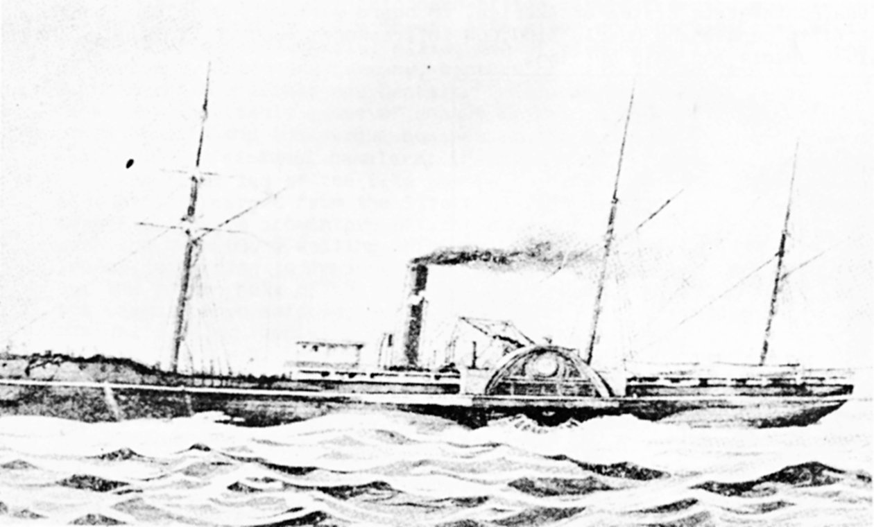 Resim SS Pasifik by Samuel Walters