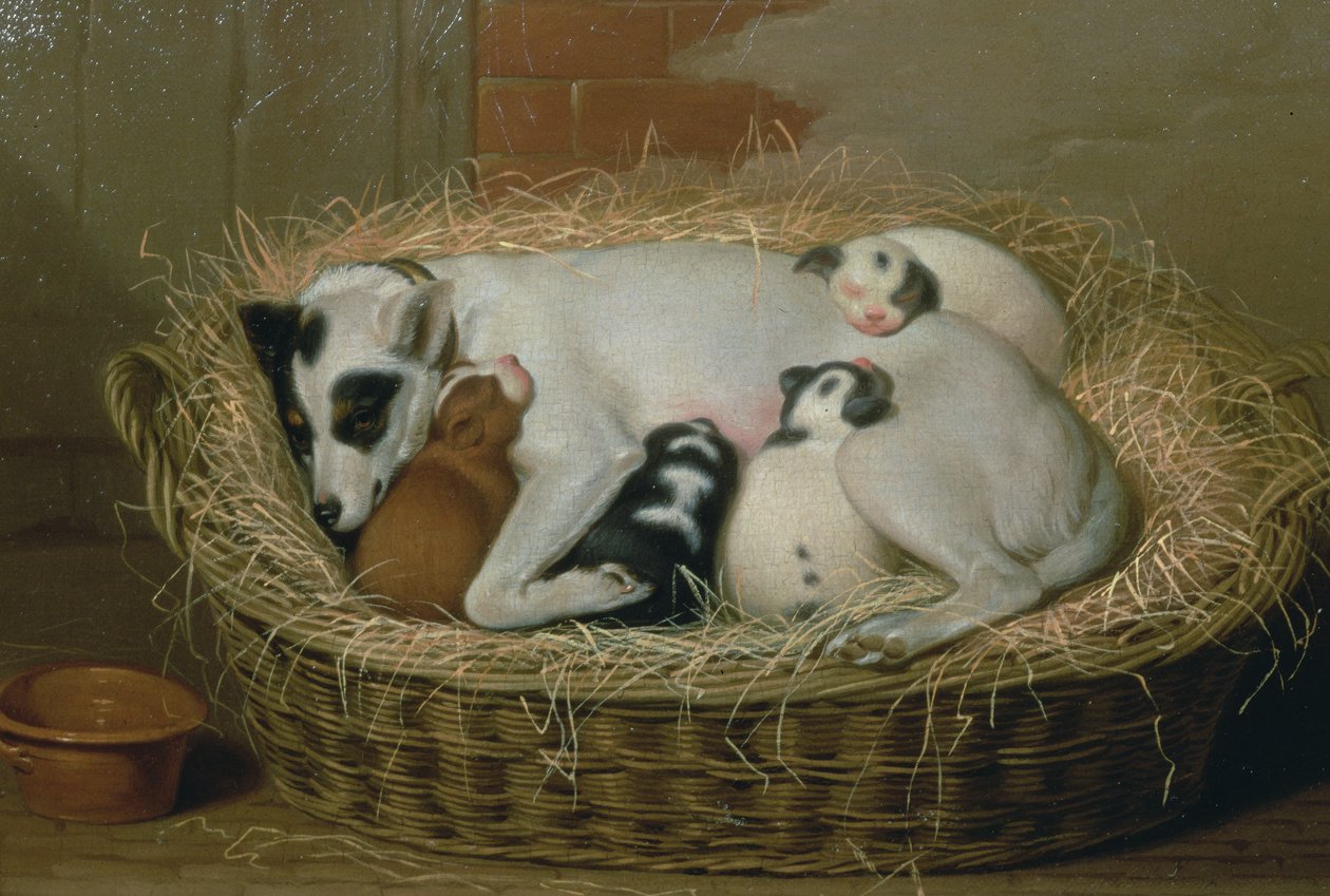 Köpekleri Hasır Sepette Orospu by Samuel de Wilde