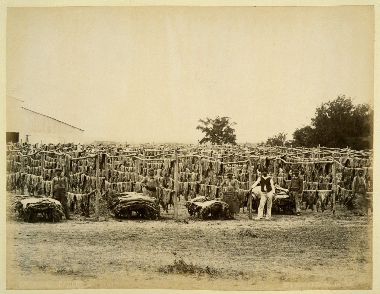 Kurutma derisi, Arjantin (kartta albüm baskısı) by Samuel Boote