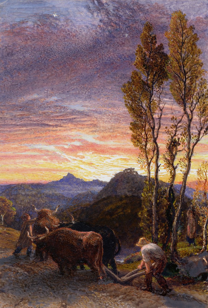 Oxen Ploughing at Sunset  by Samuel Palmer