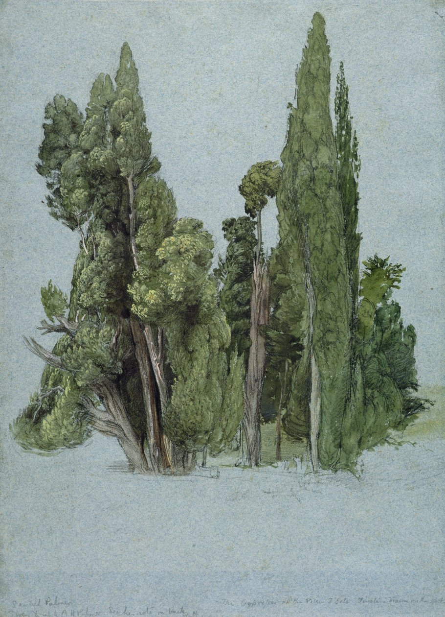 Villa d