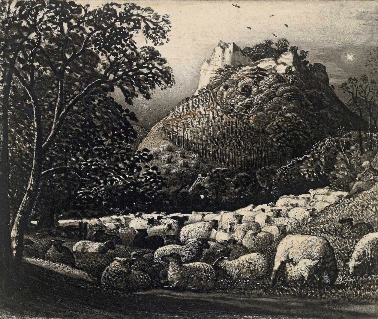 Sürü ve Yıldız (kalem ve mürekkep üzerine mürekkeple kalem ve fırça) by Samuel Palmer