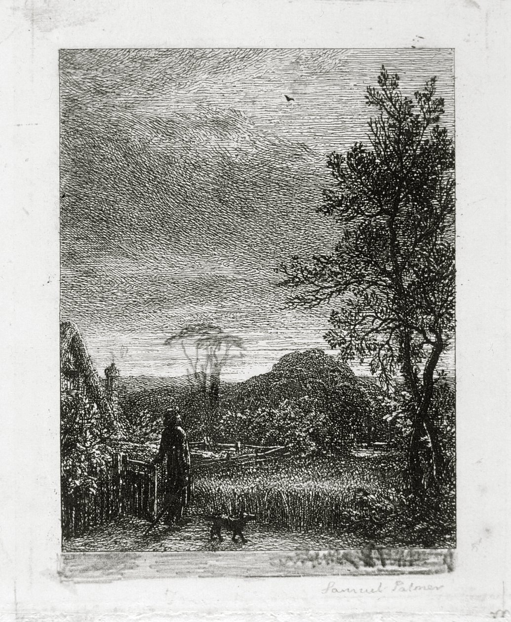 Skylark by Samuel Palmer