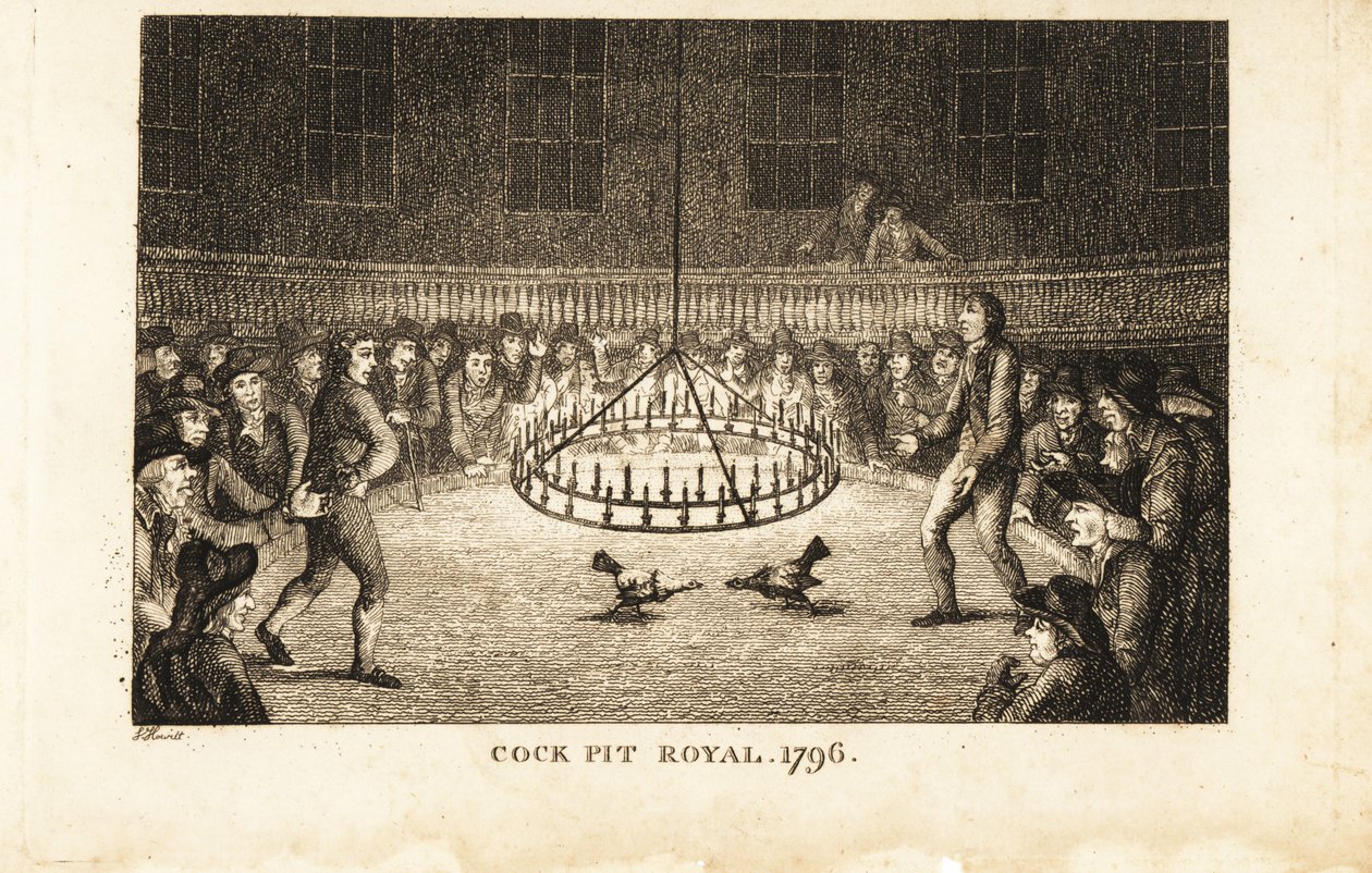 Cock Pit Royal, St