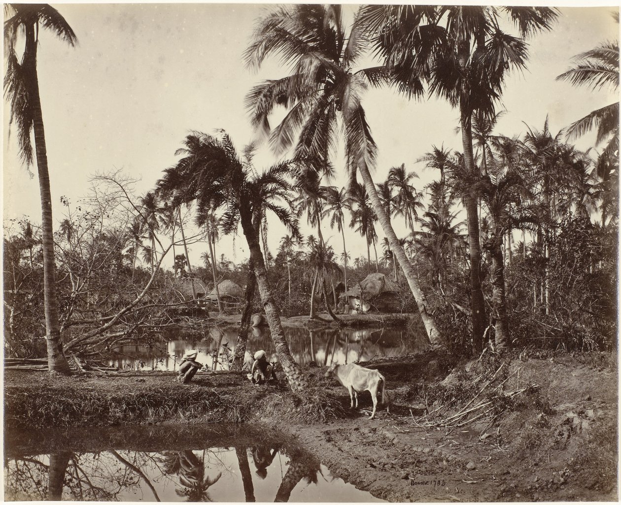 Bengal, Hindistan