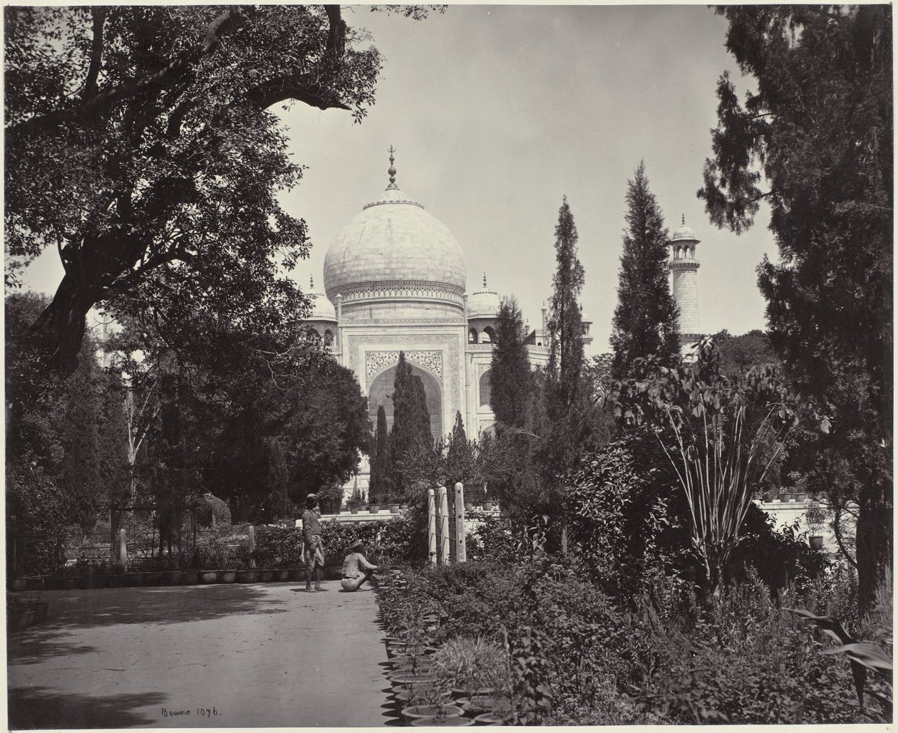 Tac Mahal ve bahçesinin görünümü The Taj, from the Garden (orijinal başlık) Taj (nesne üzerindeki başlık) by Samuel Bourne (signed by artist)