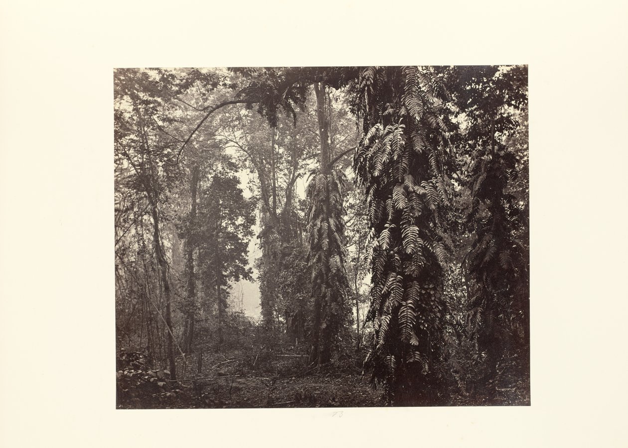  by Samuel Bourne