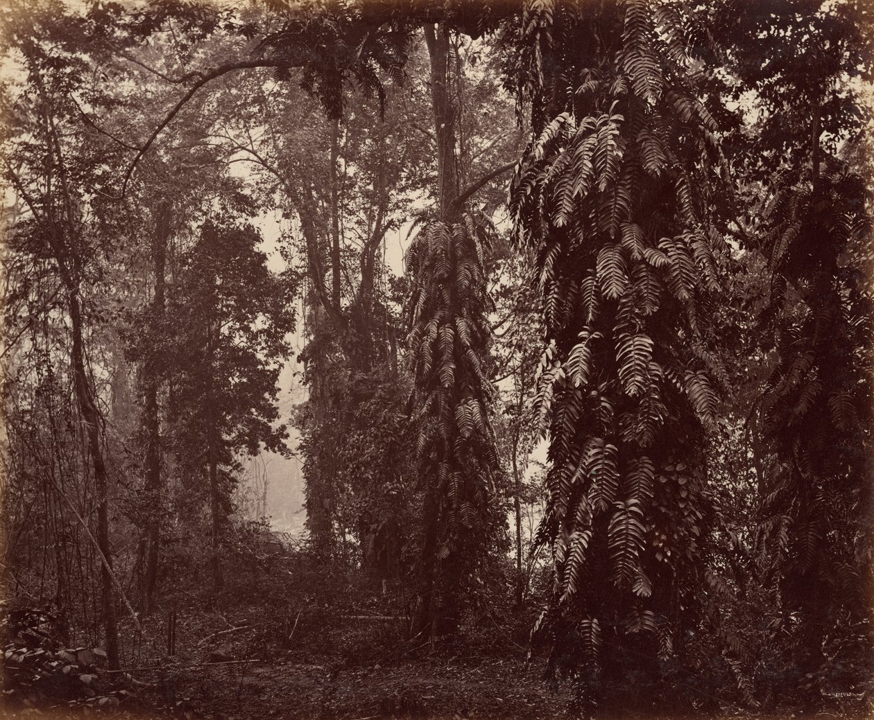  by Samuel Bourne