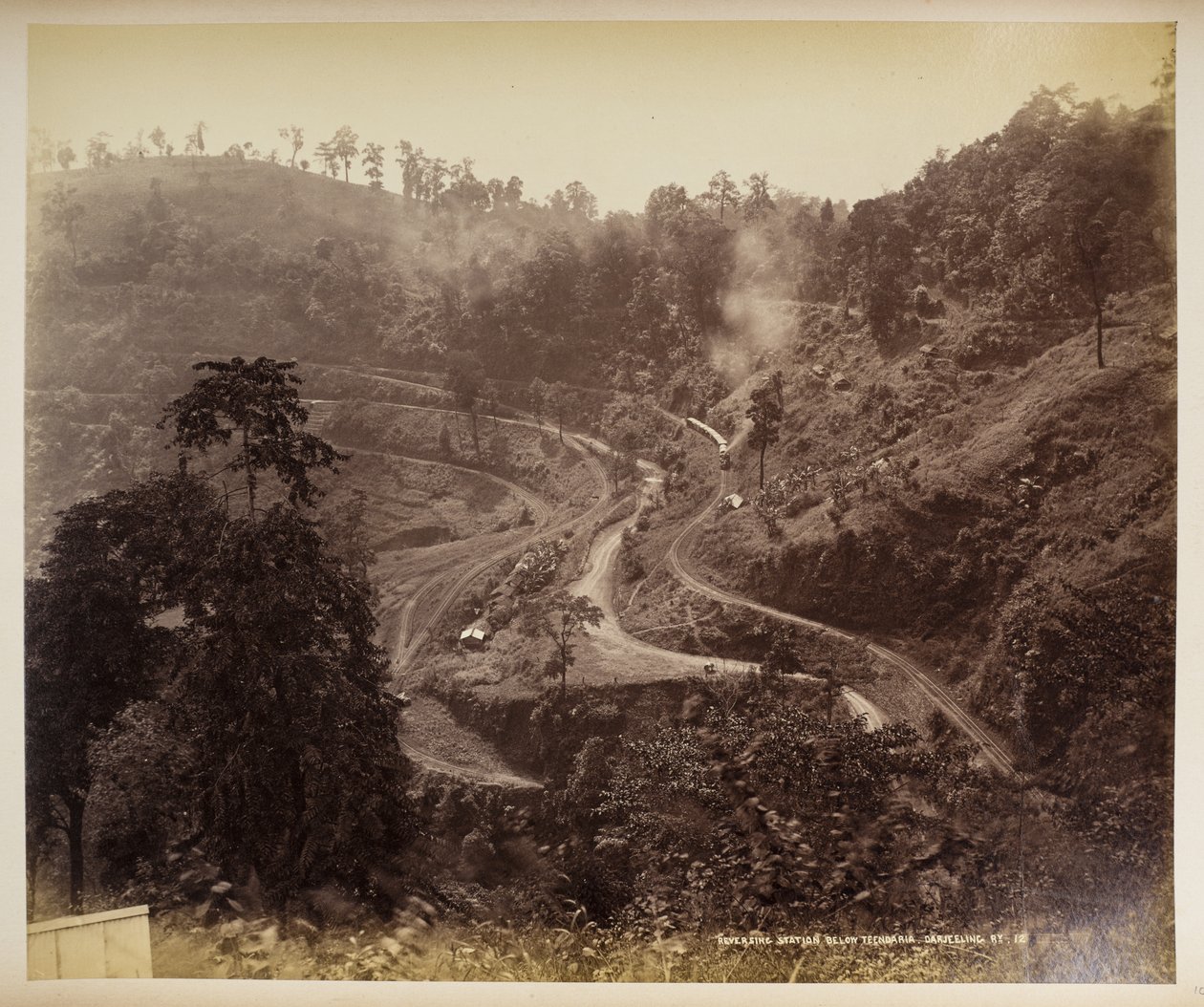 Teendaria, Darjeeling