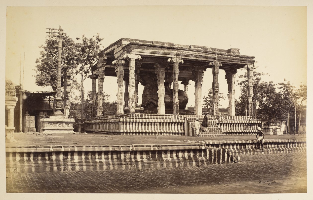 Büyük Taş Boğa, Tanjore by Samuel Bourne