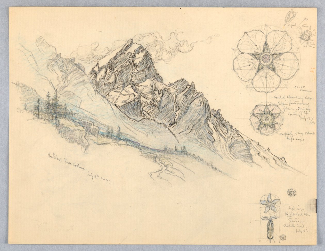 Cortina