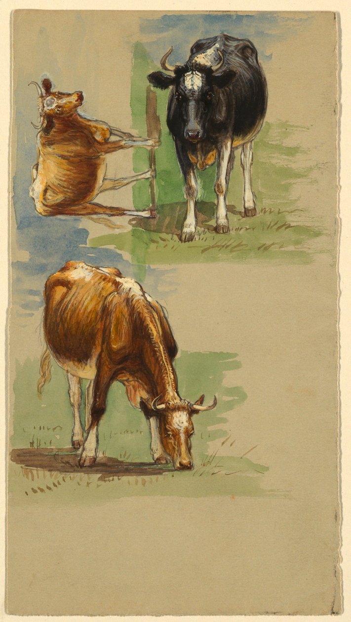 Sığır, Steers by Samuel Colman