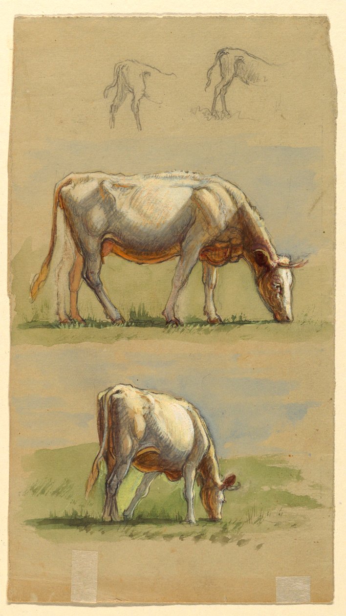 Sığır, İki Otlayan İnek ve Buzağıların Sırtları by Samuel Colman