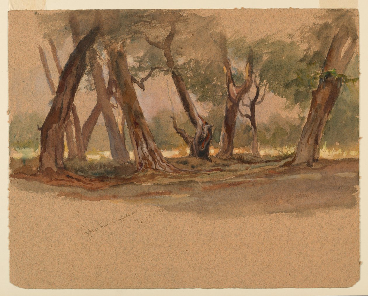 Selvi Ağaçları, Chapultepec, Meksika by Samuel Colman
