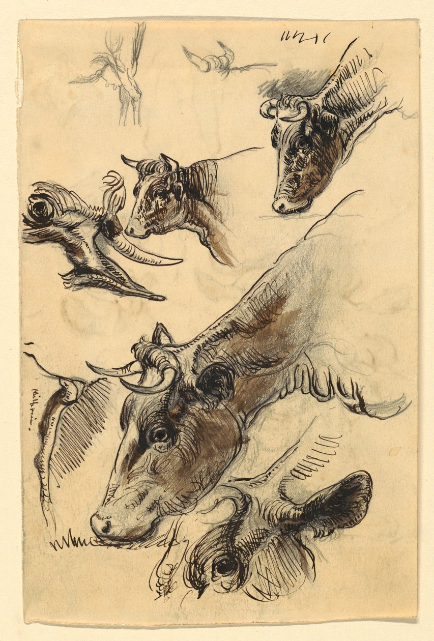  by Samuel Colman