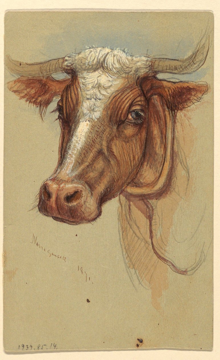  by Samuel Colman
