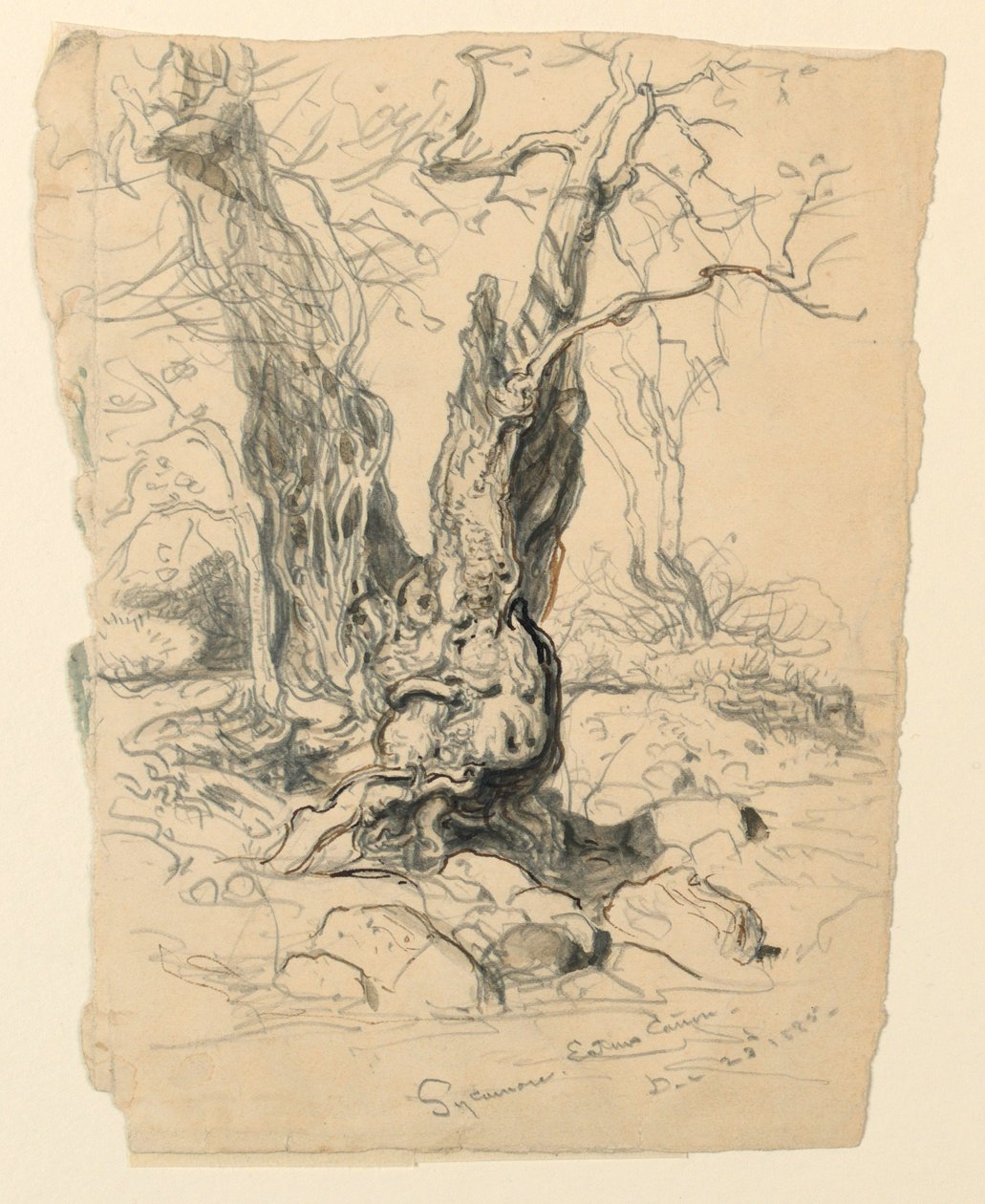  by Samuel Colman