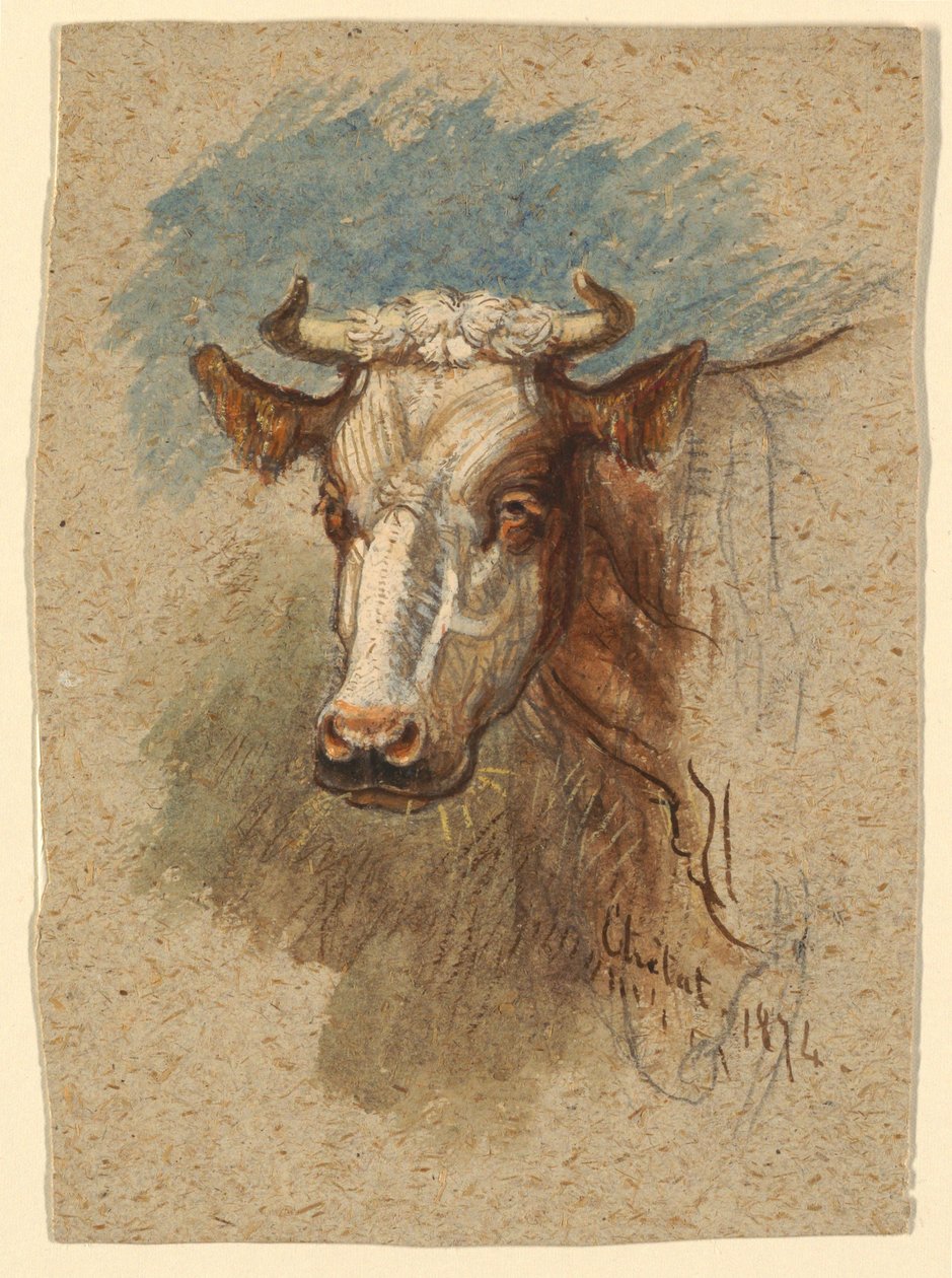 İnek Başı, Etretat by Samuel Colman