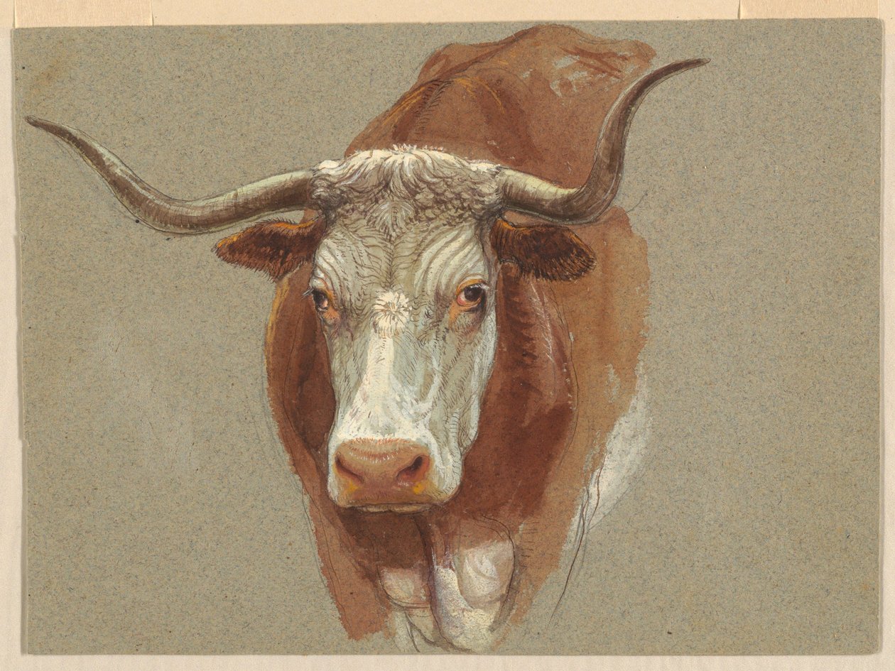 İnek veya Öküz Başı by Samuel Colman