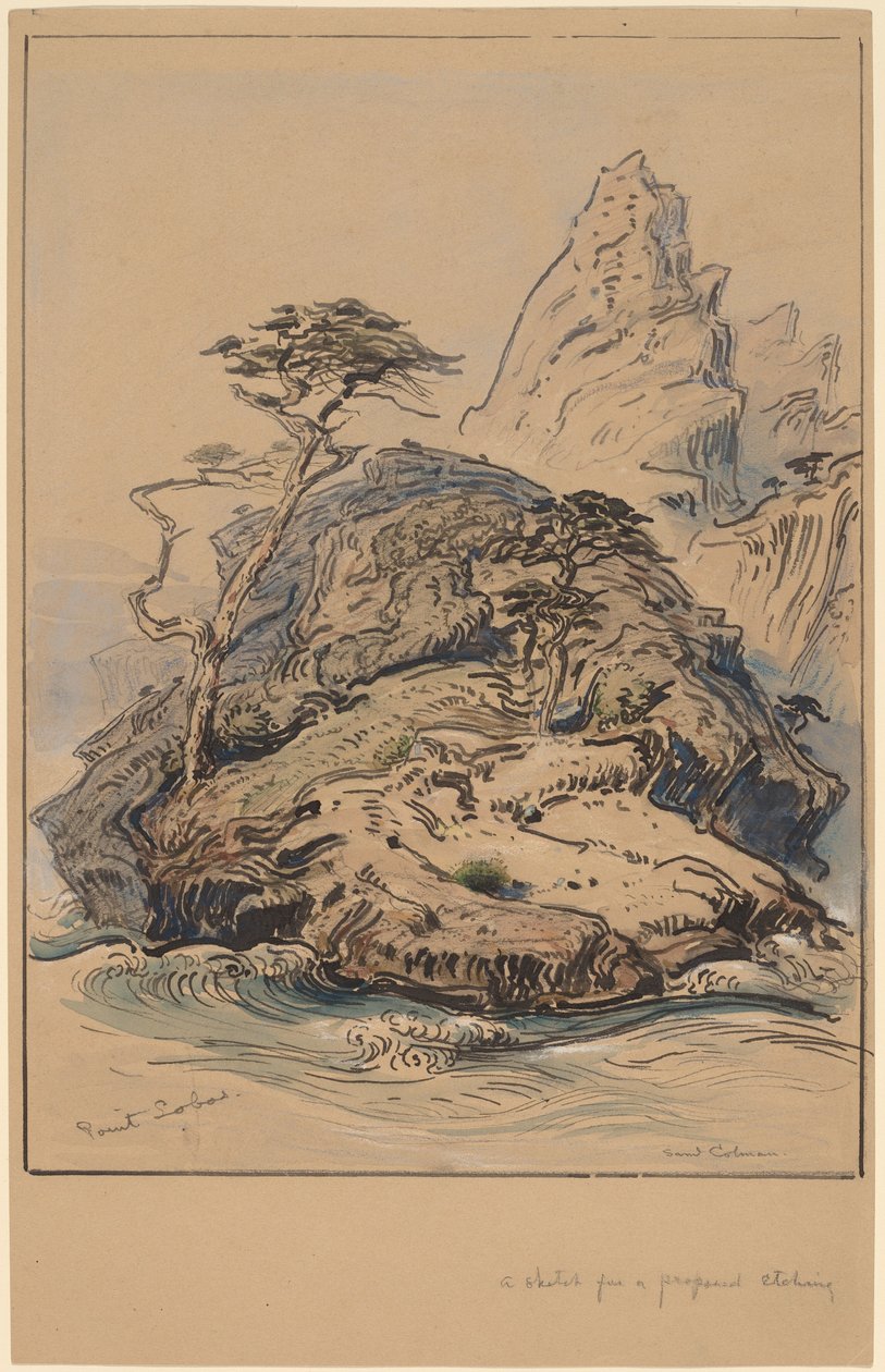 Nokta Lobos, Kaliforniya by Samuel Colman
