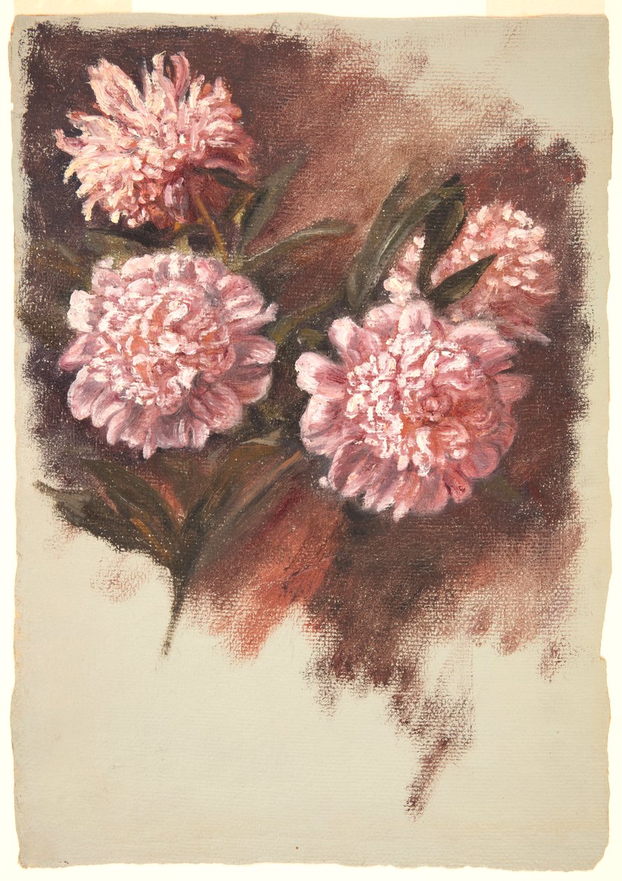 kırmızı şakayık by Samuel Colman