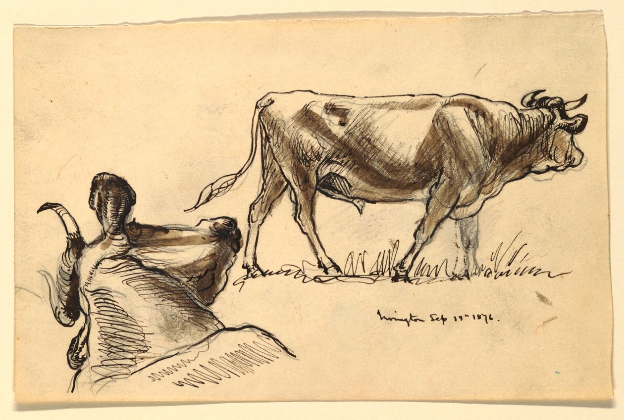 Sığır Skeçleri, Irvington by Samuel Colman